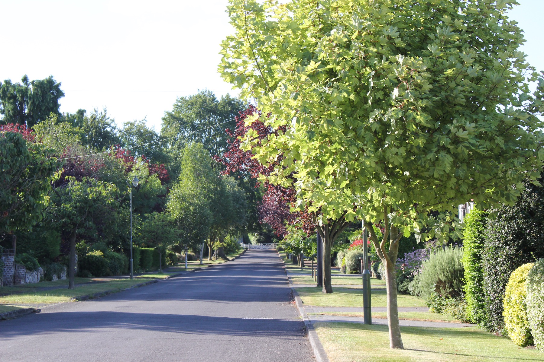 Ewell Downs Road Estate Association Ltd. Epsom, Surrey.