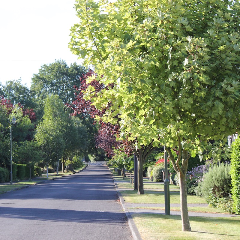Ewell Downs Road Estate Association Ltd. Epsom, Surrey.